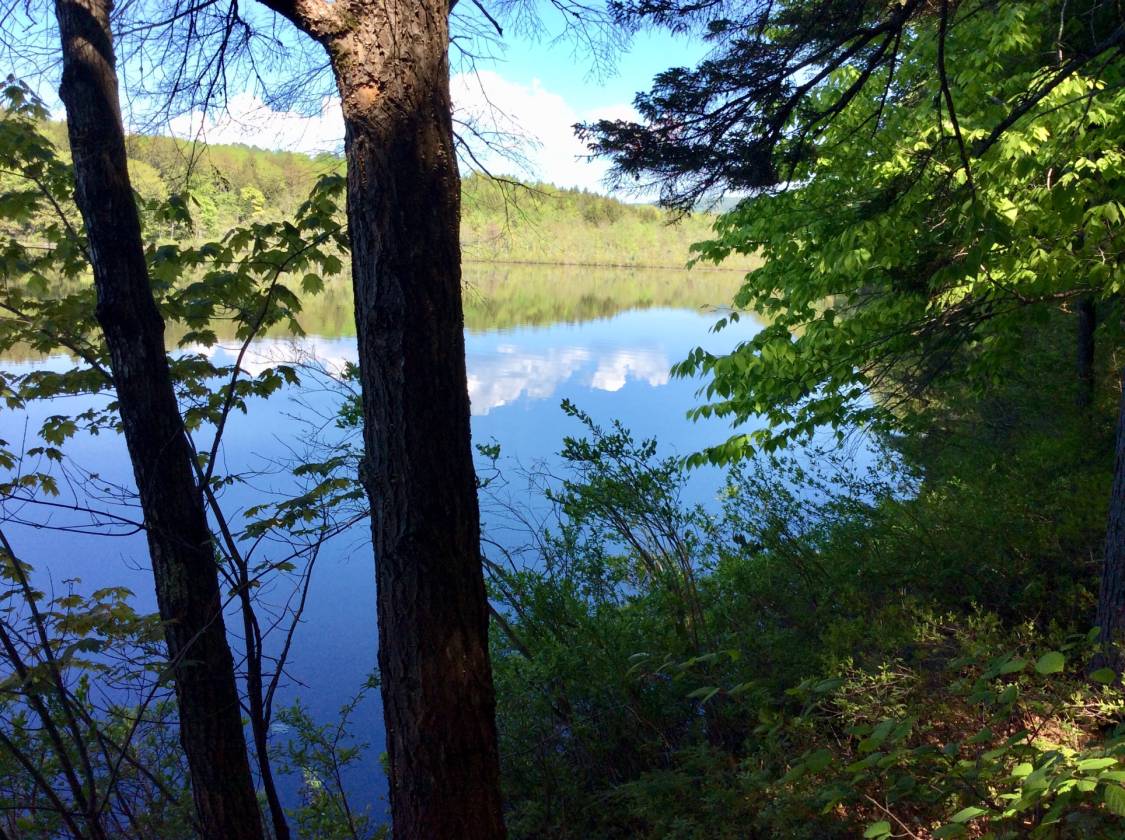 409 ft. Waterfront Land On Farrington Pond, Lovell, ME 04051