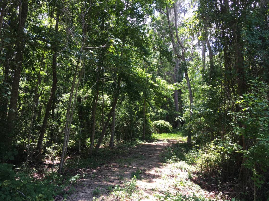 Lake home for sale Florahome, Putnam County, Florida