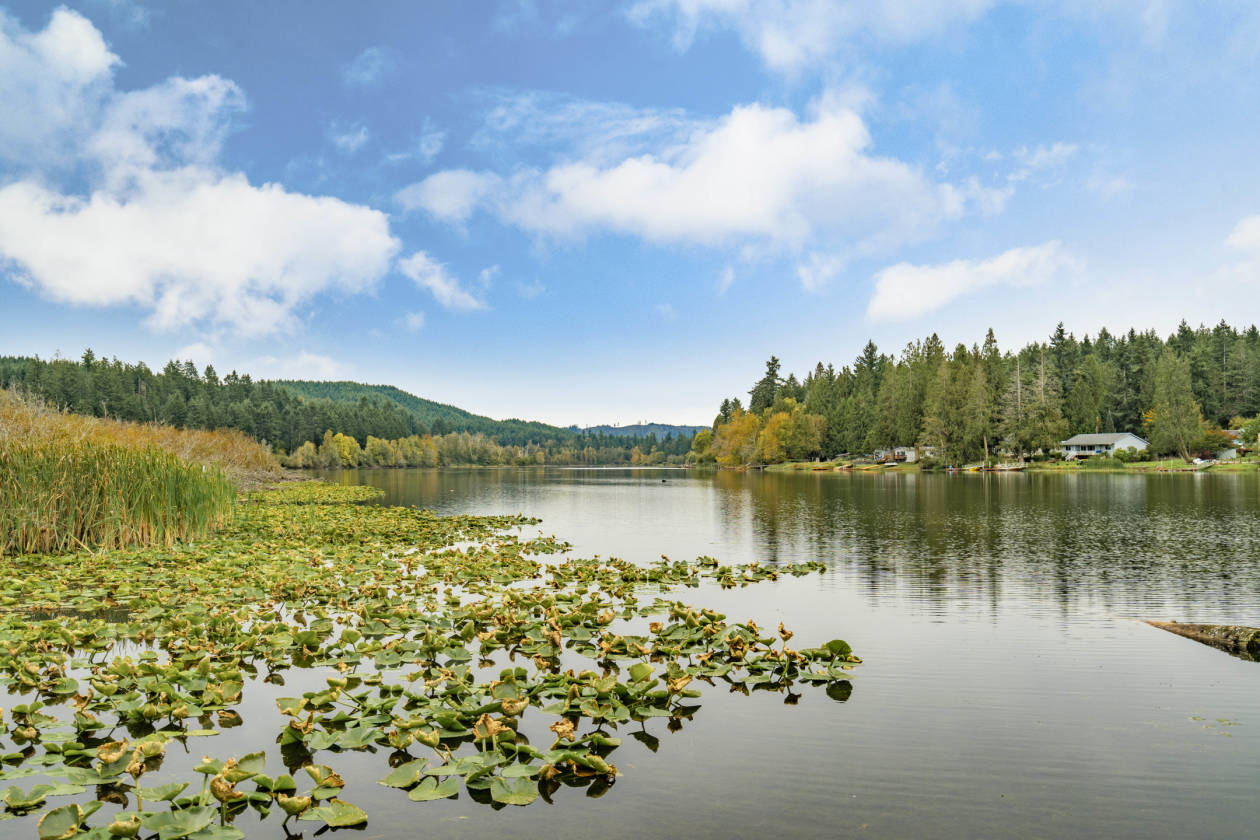 McIntosh Lake Tenino, Thurston County, Washington USA Waterviews