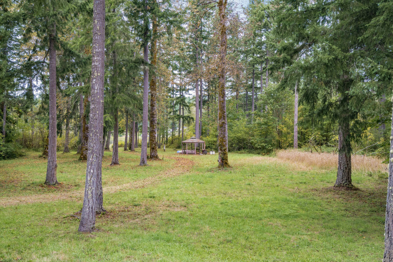 McIntosh Lake Tenino, Thurston County, Washington USA Waterviews