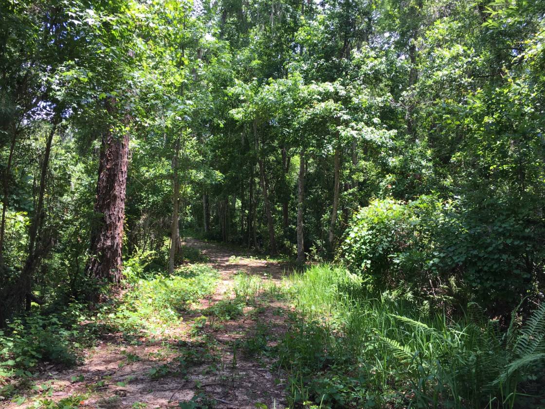 Lake home for sale Florahome, Putnam County, Florida