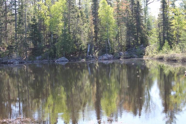 Perch Lake Paradise in the Upper Peninsula! Parcel A East... Republic