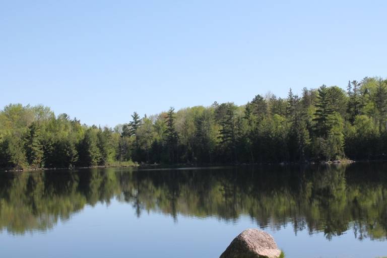 Perch Lake Paradise in the Upper Peninsula! Parcel A East... | Republic ...