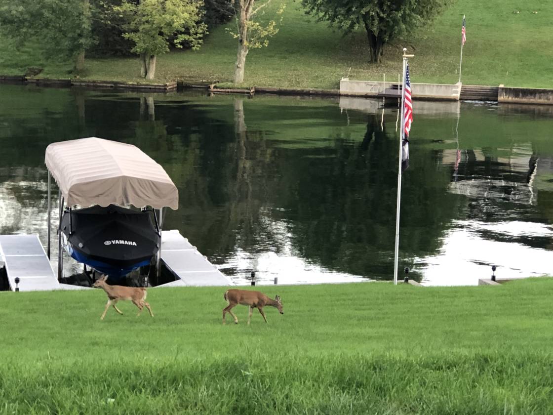 Simply the Best! Prime Waterfront Property in Lake Wynonah! Auburn