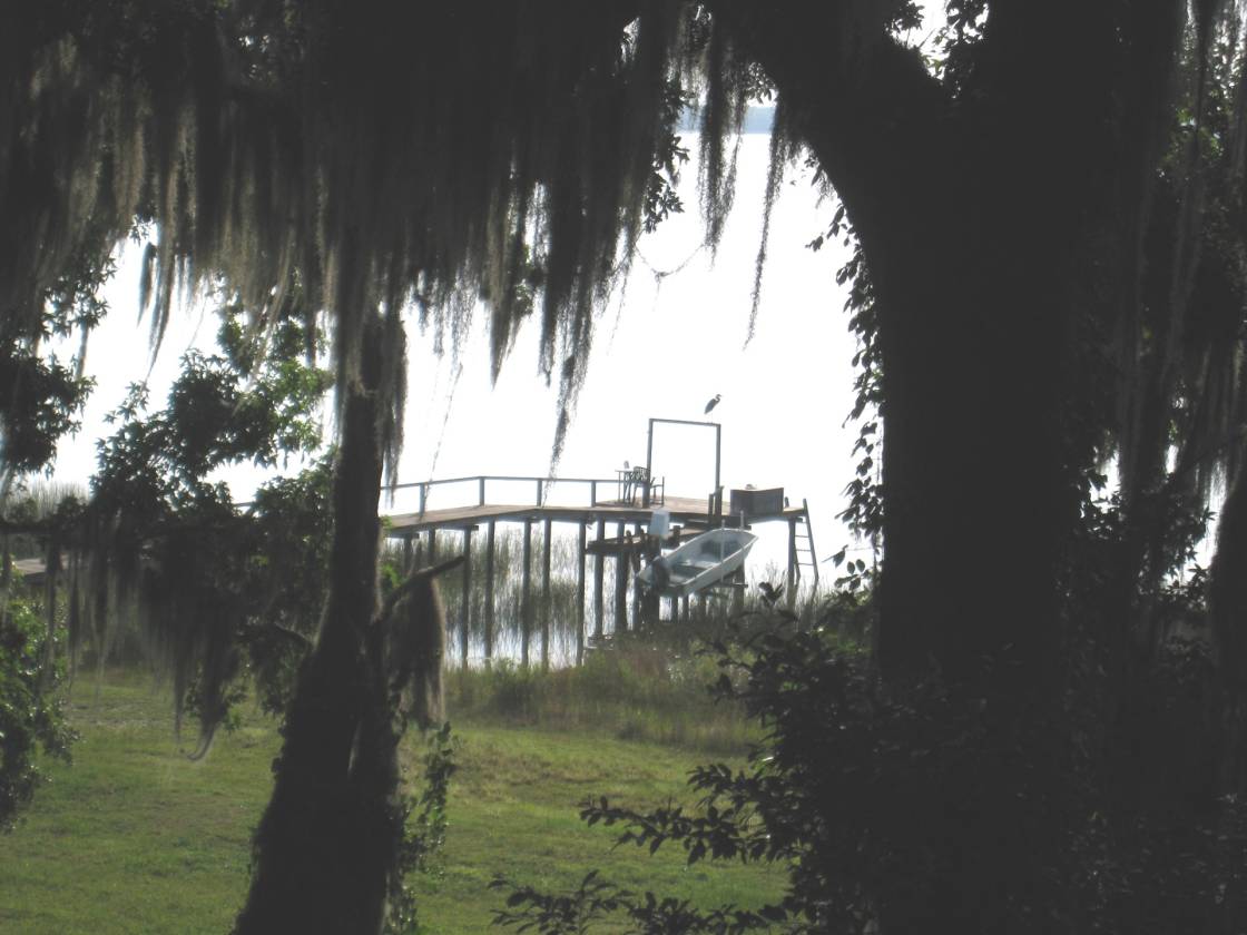 OCALA, FL AREA LAKE WEIR, ORANGE TREES, LAKEFRONT, CUSTOM HOME