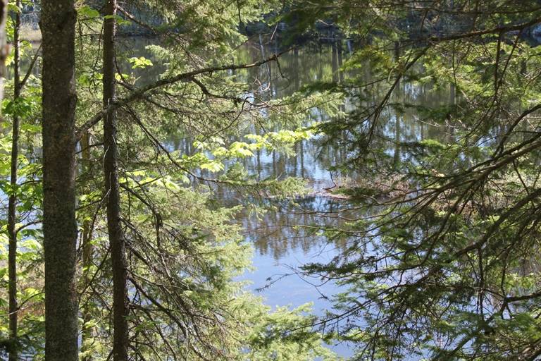 Perch Lake Paradise in the Upper Peninsula! Parcel A East... Republic