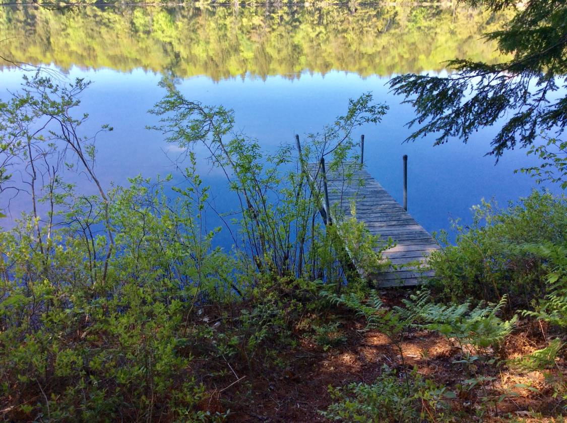 409 ft. Waterfront Land On Farrington Pond, Lovell, ME 04051 ...