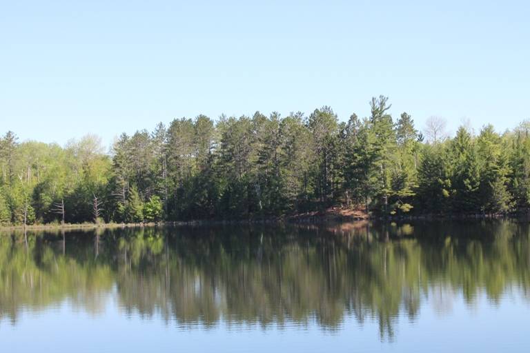 Perch Lake Paradise in the Upper Peninsula! Parcel A East... Republic