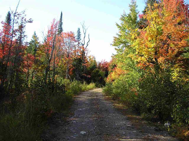 Escape to Mount Curwood! TBD Peshekee Grade Rd., Champion MI ...