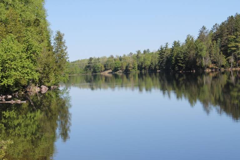 Perch Lake Paradise in the Upper Peninsula! Parcel A East... Republic