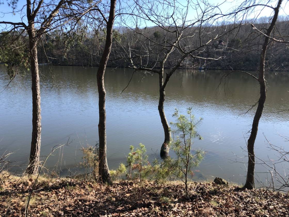 1.33AC WaterFront Lot on High Rock Lake Lexington, Davidson County