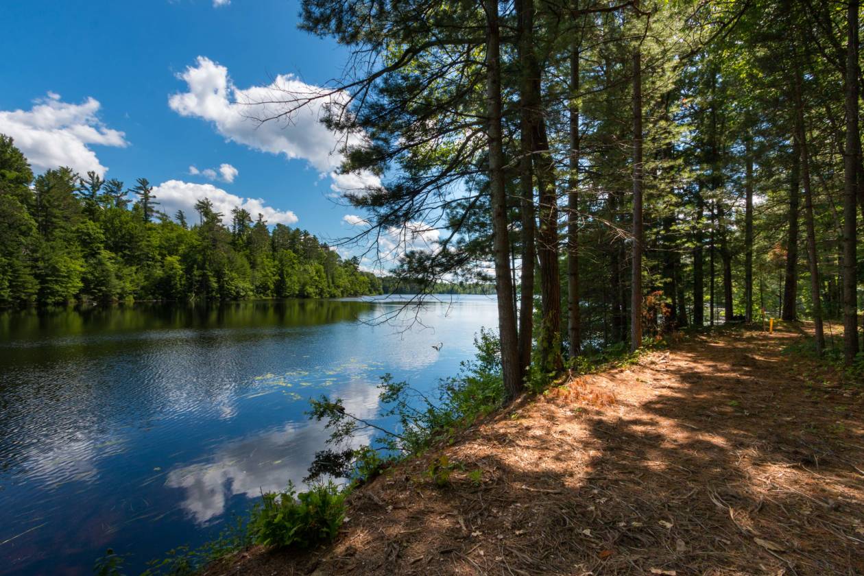 Lakefront Property | Lac du Flambeau, Vilas County, Wisconsin