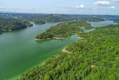 261 ACRES UNRESTRICTED BLISS ON THE CLINCH RIVER AUCTION TN