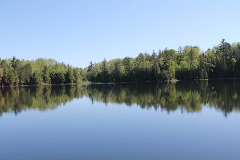 Perch Lake Paradise in the Upper Peninsula! Parcel A East... | Republic ...