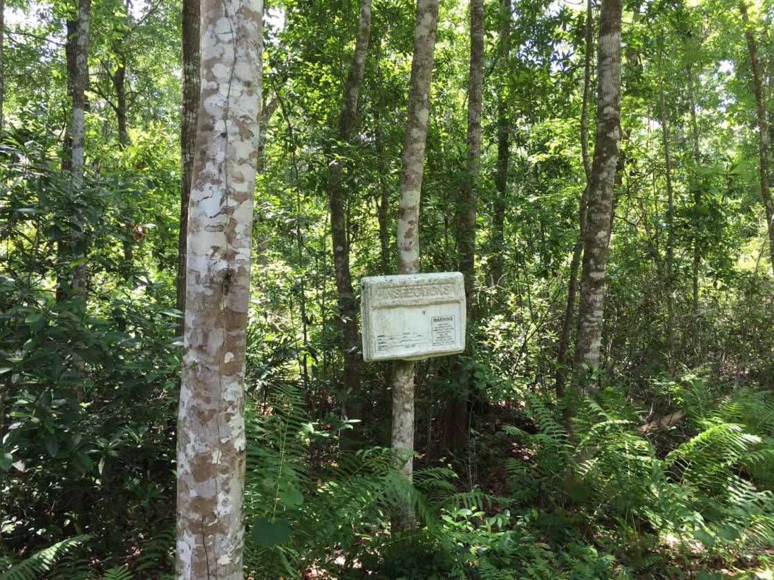 Lake home for sale Florahome, Putnam County, Florida