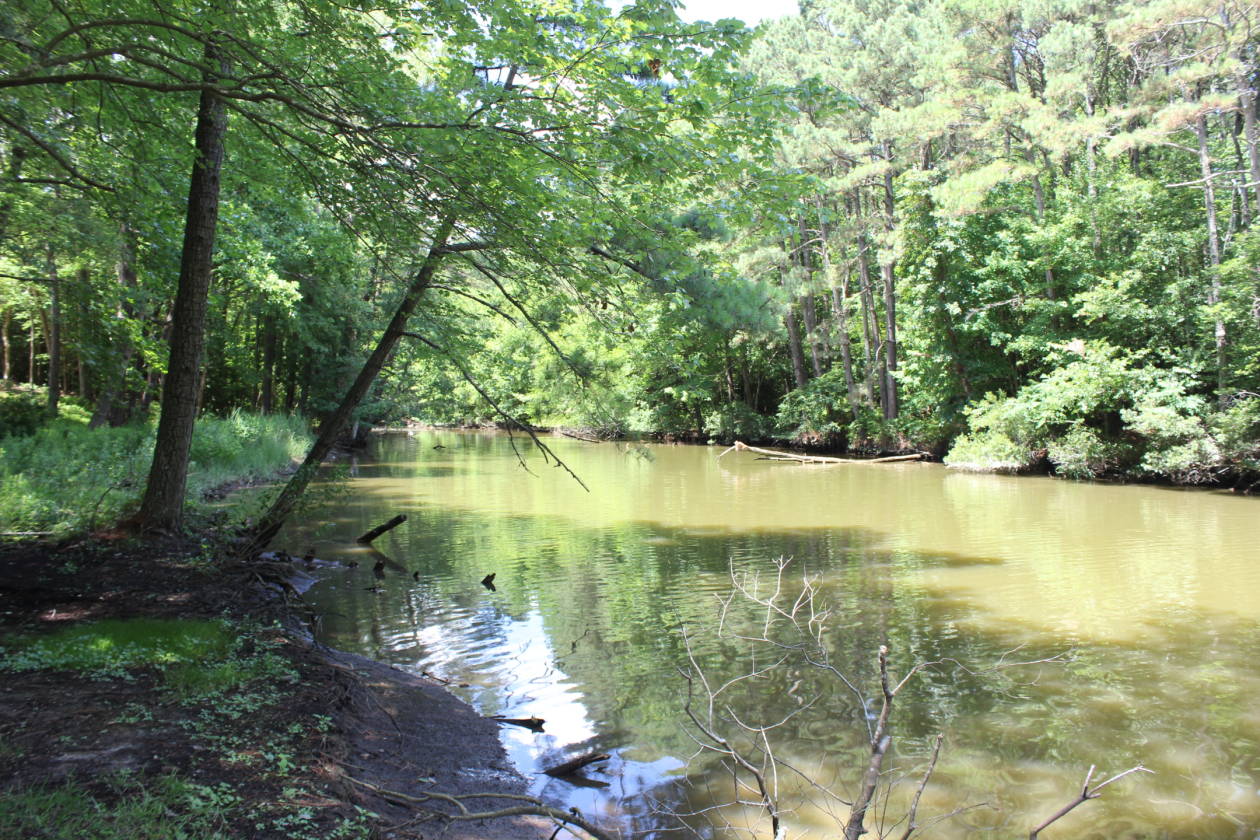 HillsboroughOccohannock CreekUnder Contract Belle Haven,